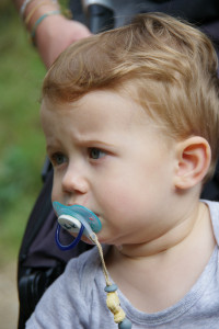 IMGP0908.JPG