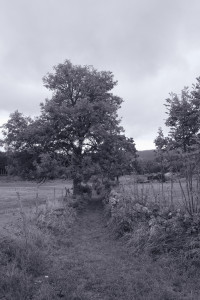 DO01000069.JPG