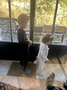 IMG_7724.JPG