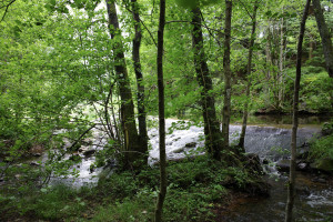 R0000127.jpg