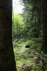 R0000140.jpg