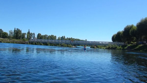 DSCN4323.MOV