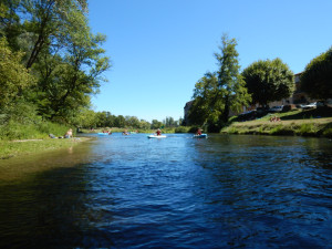 DSCN4330.JPG
