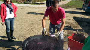 20161022_134205.jpg