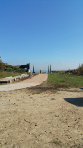 20161022_134452.jpg