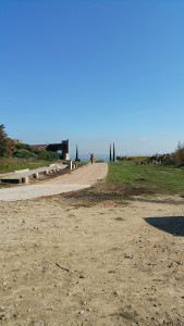 20161022_134453.jpg