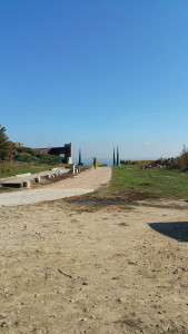 20161022_134454.jpg