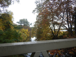 DSCN4568.JPG