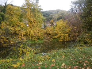 DSCN4570.JPG