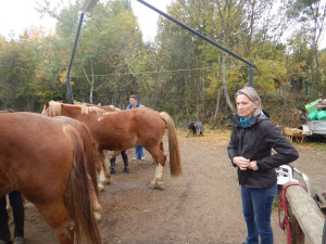 DSCN4614.JPG