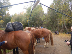 DSCN4615.JPG