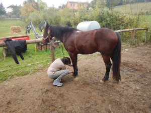 DSCN4616.JPG