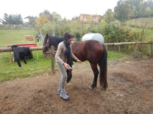 DSCN4618.JPG
