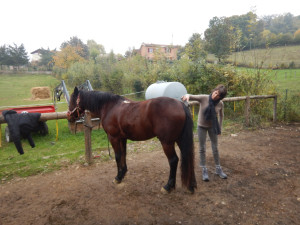 DSCN4619.JPG