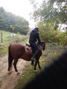 DSCN4637.JPG