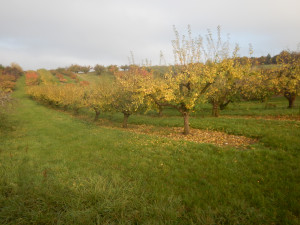 DSCN4645.JPG