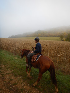 DSCN4647.JPG