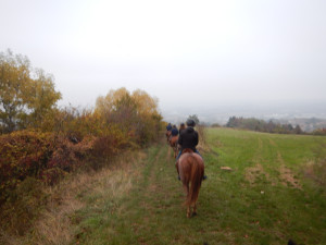 DSCN4649.JPG