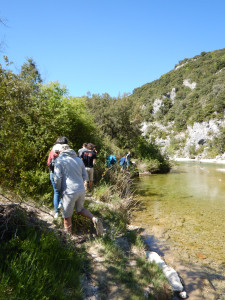 DSCN4730.JPG