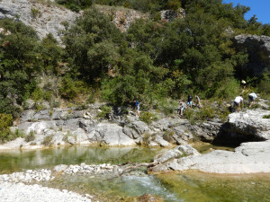 DSCN4738.JPG