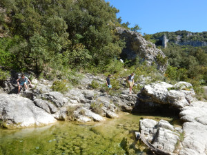 DSCN4739.JPG