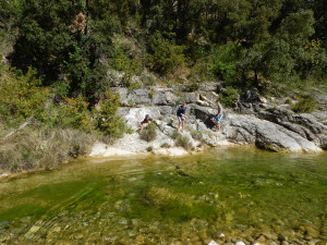 DSCN4744.JPG