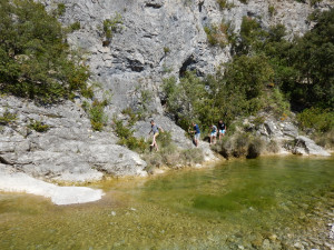 DSCN4746.JPG
