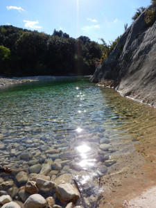 DSCN4753.JPG