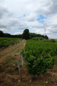 DSCF4556.JPG