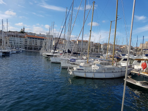 20170910_093147.jpg
