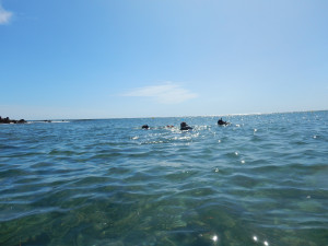 DSCN5043.JPG