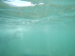 DSCN5044.JPG