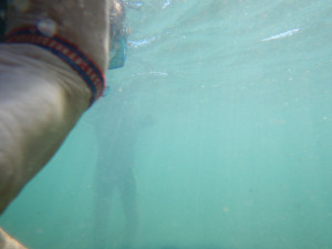 DSCN5045.JPG