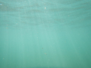 DSCN5046.JPG