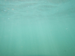 DSCN5047.JPG