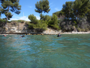 DSCN5049.JPG
