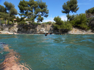DSCN5050.JPG