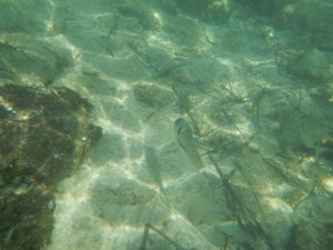 DSCN5056.JPG