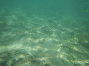 DSCN5057.JPG
