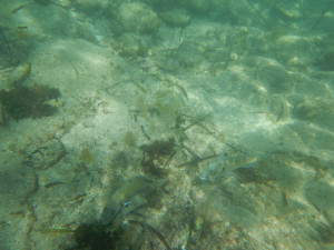 DSCN5058.JPG