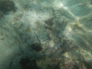 DSCN5059.JPG