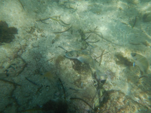 DSCN5060.JPG