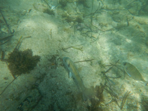 DSCN5061.JPG