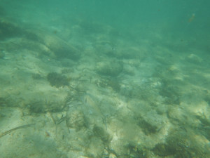 DSCN5062.JPG