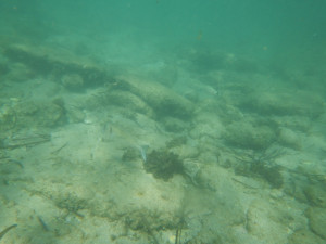 DSCN5063.JPG