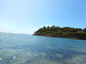 DSCN5066.JPG