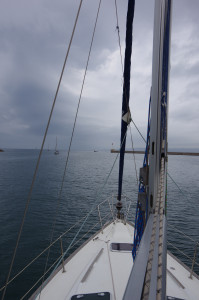 IMGP2174.JPG