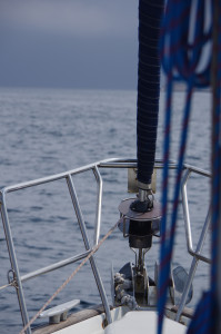 IMGP2202.JPG