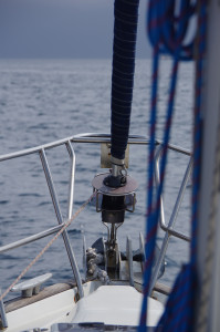 IMGP2203.JPG