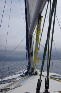 IMGP2220.JPG